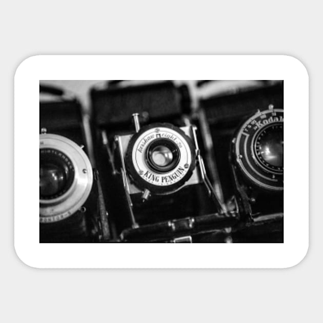 Classic Cameras Sticker by Femaleform